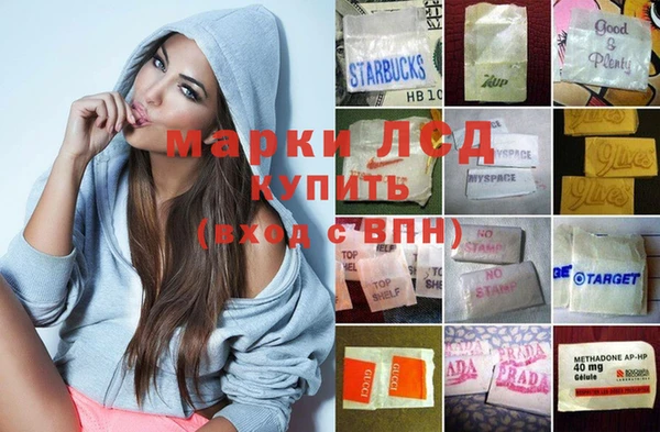 прущие грибы Алексеевка